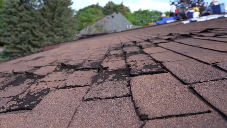 Best Asphalt Shingles Roofing  in Carney, MD
