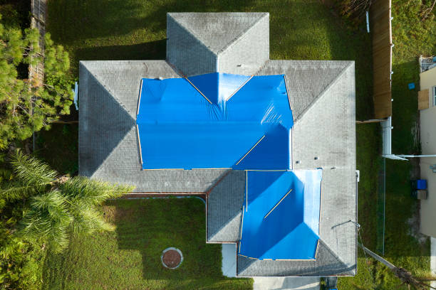 Best Solar Panel Roofing Installation  in Carney, MD
