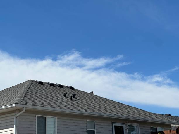 Best Gutter Installation and Repair  in Carney, MD